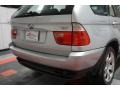 Titanium Silver Metallic - X5 4.4i Photo No. 73