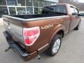 Golden Bronze Metallic - F150 Platinum SuperCrew 4x4 Photo No. 5