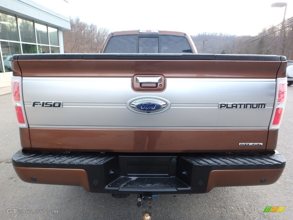 2012 F150 Platinum SuperCrew 4x4 - Golden Bronze Metallic / Platinum Sienna Brown/Black Leather photo #6