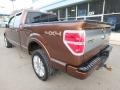 Golden Bronze Metallic - F150 Platinum SuperCrew 4x4 Photo No. 8