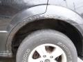 Ebony Black - Sorento LX 4WD Photo No. 10