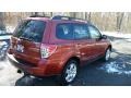 Paprika Red Pearl - Forester 2.5 X Premium Photo No. 7