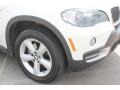 Alpine White - X5 3.0si Photo No. 10