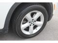 Alpine White - X5 3.0si Photo No. 15