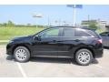 Crystal Black Pearl - RDX Technology Photo No. 4