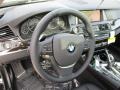 2016 Jet Black BMW 5 Series 535i xDrive Sedan  photo #15