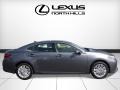 Nebula Gray Pearl - ES 350 Photo No. 2