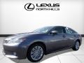 Nebula Gray Pearl - ES 350 Photo No. 4