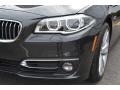 2016 Dark Graphite Metallic BMW 5 Series 535i xDrive Sedan  photo #28