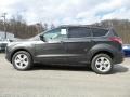 Magnetic Metallic - Escape SE 4WD Photo No. 1