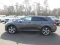 Cosmic Gray Mica - Venza XLE AWD Photo No. 4