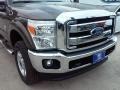 Caribou Metallic - F350 Super Duty XLT Crew Cab 4x4 Photo No. 3