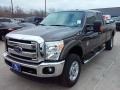 Caribou Metallic - F350 Super Duty XLT Crew Cab 4x4 Photo No. 9
