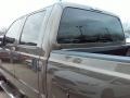 Caribou Metallic - F350 Super Duty XLT Crew Cab 4x4 Photo No. 10