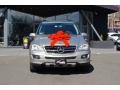 Pewter Metallic - ML 350 4Matic Photo No. 2