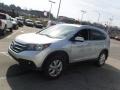 2014 Alabaster Silver Metallic Honda CR-V EX-L AWD  photo #5