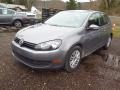 United Gray Metallic 2013 Volkswagen Golf 2 Door Exterior