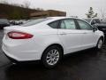 Oxford White - Fusion S Photo No. 2