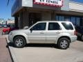 2004 Gold Ash Metallic Ford Escape Limited 4WD  photo #2