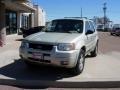 2004 Gold Ash Metallic Ford Escape Limited 4WD  photo #26