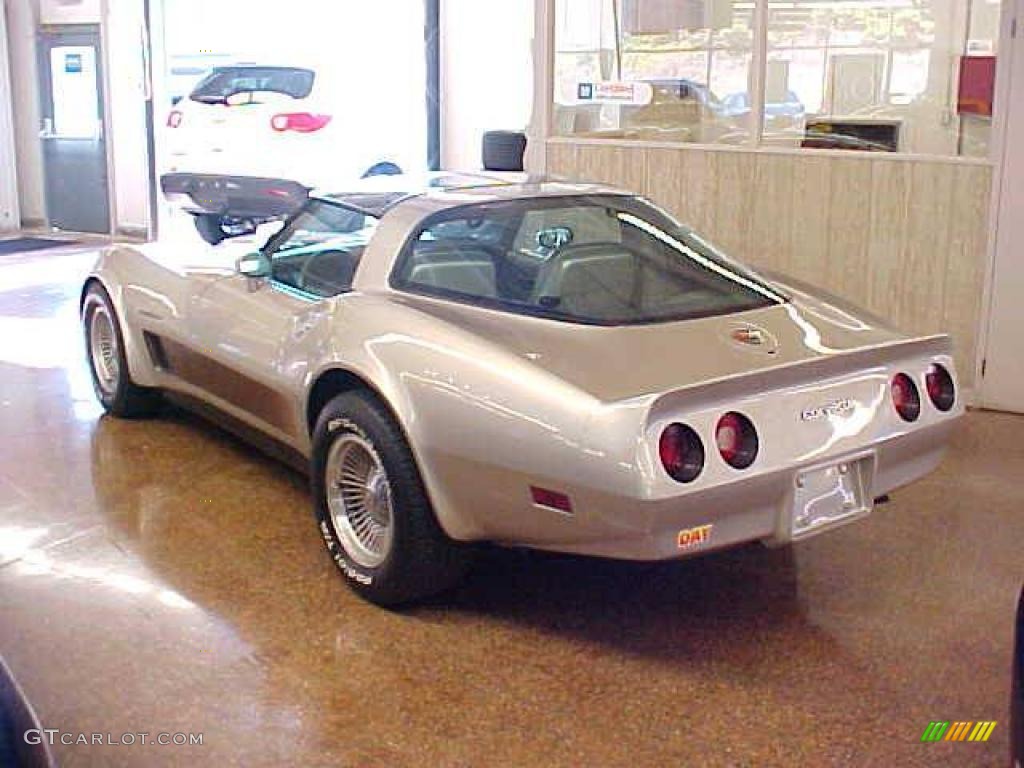 Silver Beige 1982 Chevrolet Corvette Collector Edition Hatchback Exterior Photo #11146267