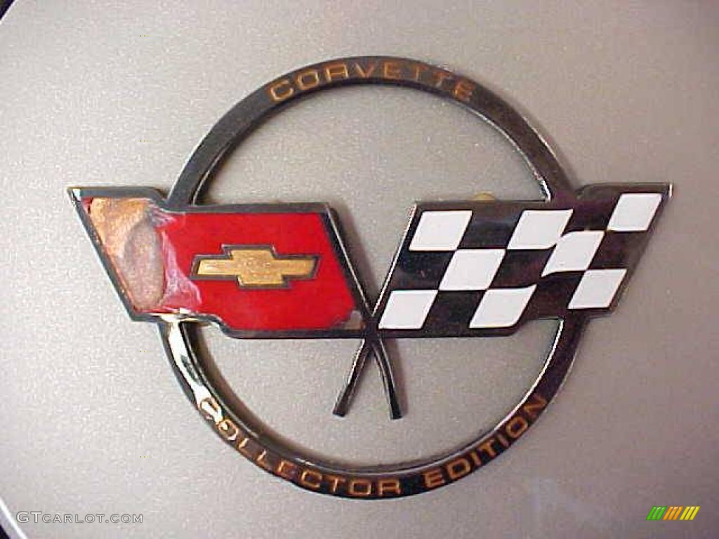 1982 Chevrolet Corvette Collector Edition Hatchback Marks and Logos Photo #11146477