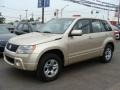 2007 Clear Beige Metallic Suzuki Grand Vitara   photo #3