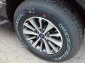 Magnetic Metallic - Expedition XLT Photo No. 17