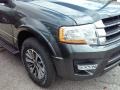 Magnetic Metallic - Expedition XLT Photo No. 18