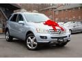 Alpine Rain Metallic 2006 Mercedes-Benz ML 350 4Matic