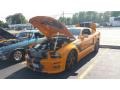 2007 Grabber Orange Ford Mustang GT Deluxe Coupe  photo #7
