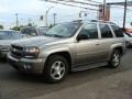 Graystone Metallic - TrailBlazer LT 4x4 Photo No. 3