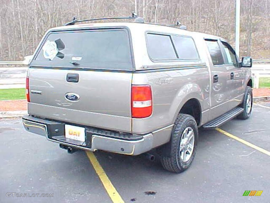 2006 F150 XLT SuperCrew 4x4 - Arizona Beige Metallic / Tan photo #4