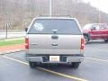 2006 Arizona Beige Metallic Ford F150 XLT SuperCrew 4x4  photo #5