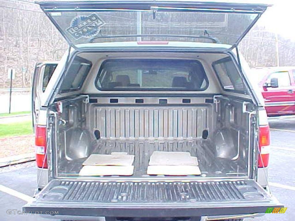 2006 F150 XLT SuperCrew 4x4 - Arizona Beige Metallic / Tan photo #9