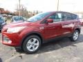 2016 Sunset Metallic Ford Escape SE 4WD  photo #5