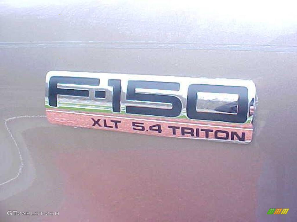 2006 F150 XLT SuperCrew 4x4 - Arizona Beige Metallic / Tan photo #21