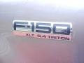 2006 Arizona Beige Metallic Ford F150 XLT SuperCrew 4x4  photo #21