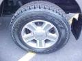 2006 Arizona Beige Metallic Ford F150 XLT SuperCrew 4x4  photo #22