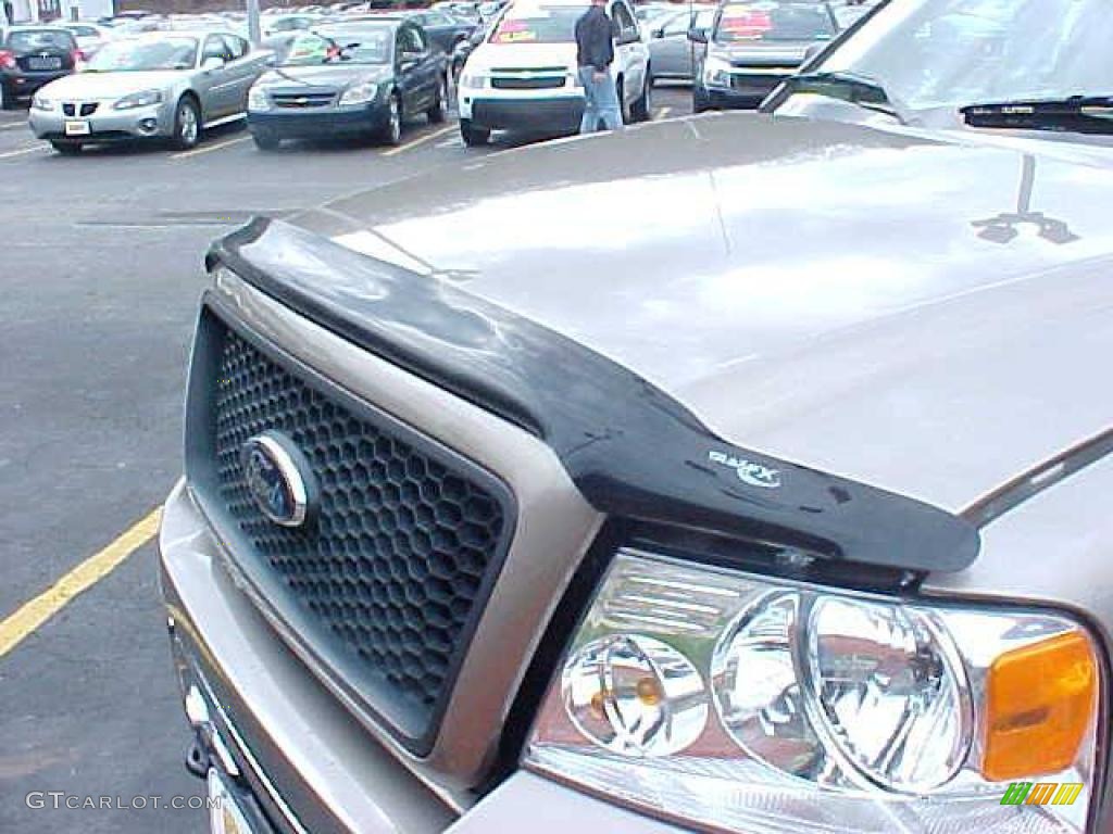 2006 F150 XLT SuperCrew 4x4 - Arizona Beige Metallic / Tan photo #24