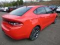 TorRed - Dart SE Photo No. 7