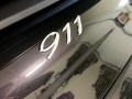 Violettchromaflair Metallic - 911 Carrera 4 Millennium Edition Coupe Photo No. 63