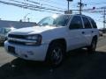 Summit White - TrailBlazer LS 4x4 Photo No. 3