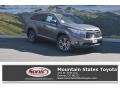 Predawn Gray Mica - Highlander XLE Photo No. 1