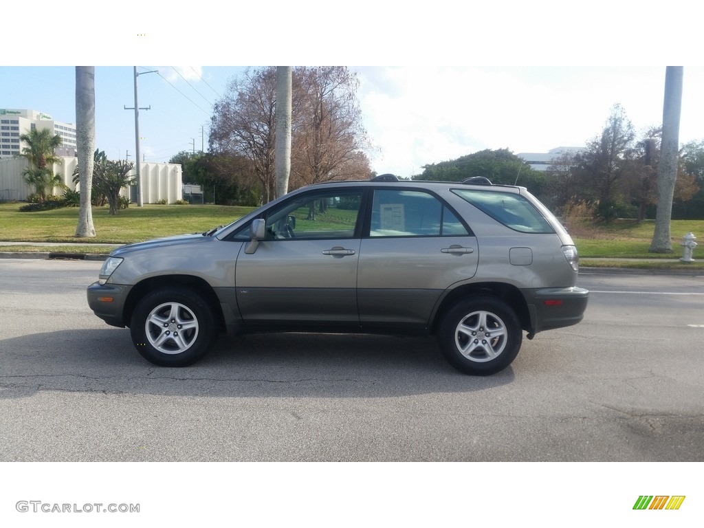 2001 RX 300 - Mineral Green Metallic / Ivory photo #2