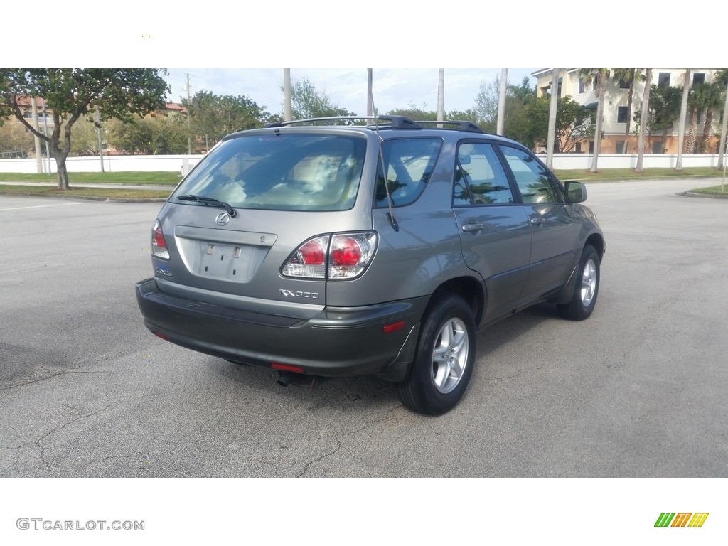 2001 RX 300 - Mineral Green Metallic / Ivory photo #5