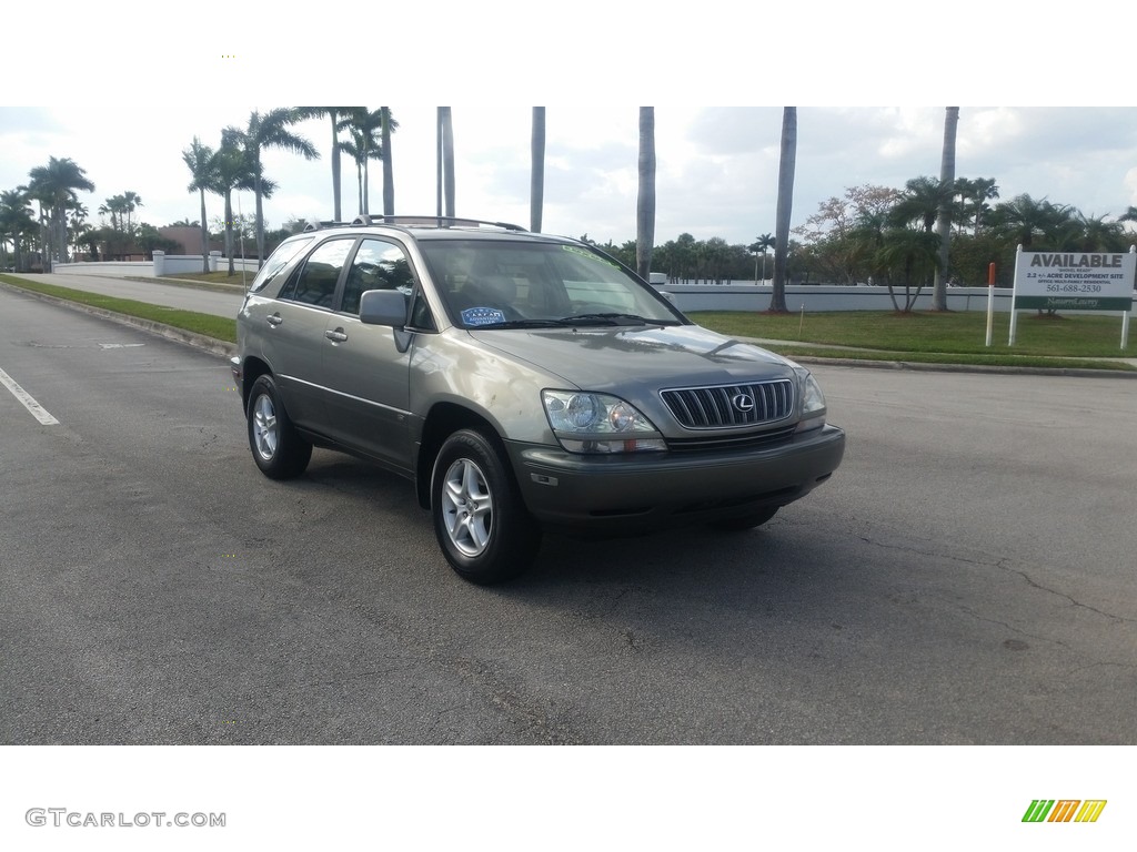 2001 RX 300 - Mineral Green Metallic / Ivory photo #7
