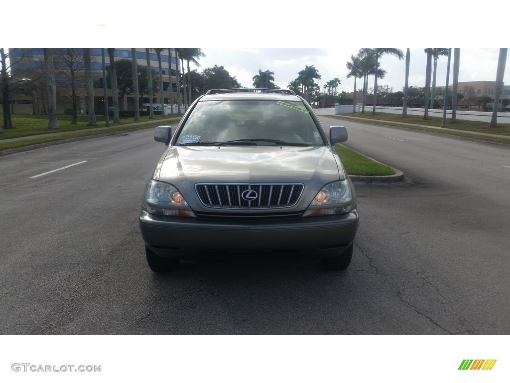 2001 RX 300 - Mineral Green Metallic / Ivory photo #8