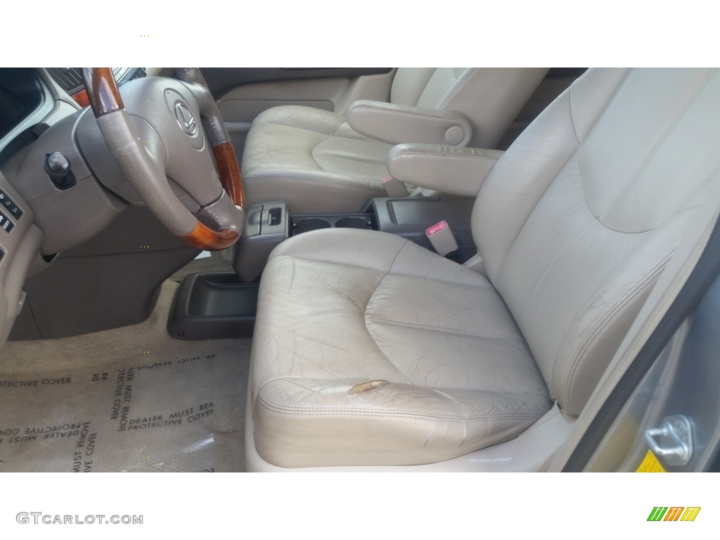 2001 RX 300 - Mineral Green Metallic / Ivory photo #10