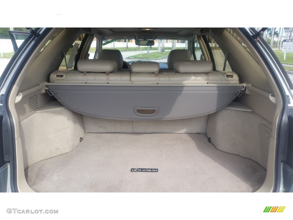 2001 RX 300 - Mineral Green Metallic / Ivory photo #17